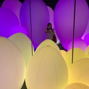 Meet your Posher, Jaehee